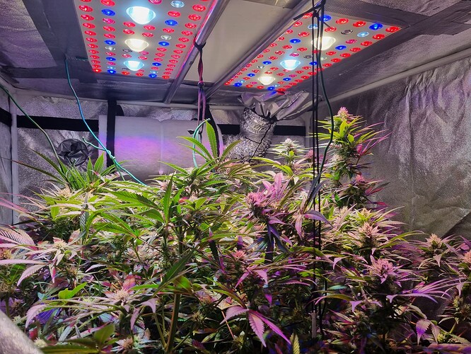 Growreport Bild 25