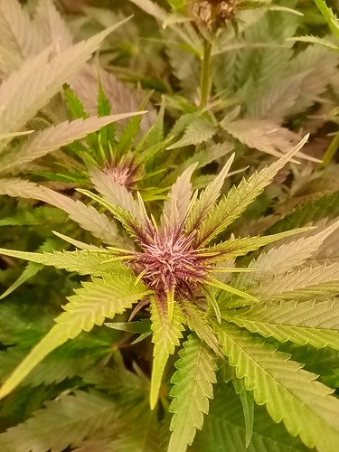 Growreport Bild 23