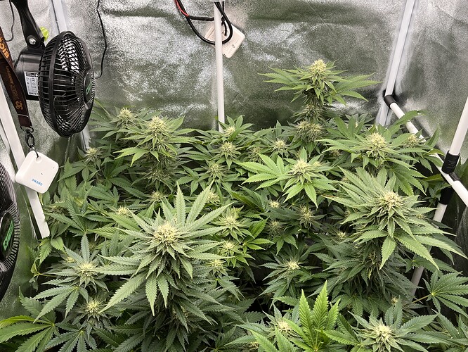 Growreport Bild 4