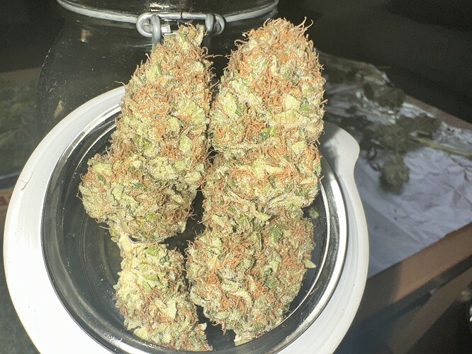 Growreport Bild 2
