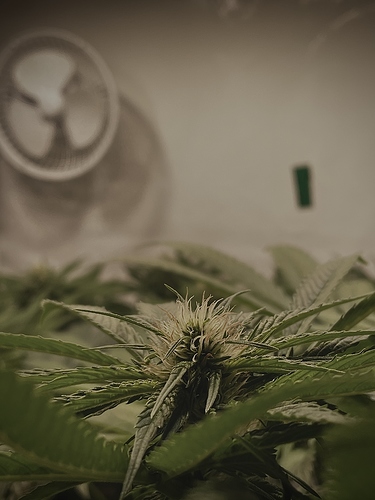 Growreport Bild 14