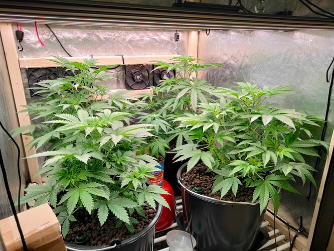 Growreport Bild 1