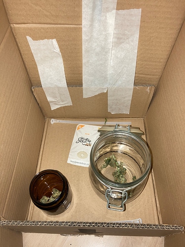 Growreport Bild 1