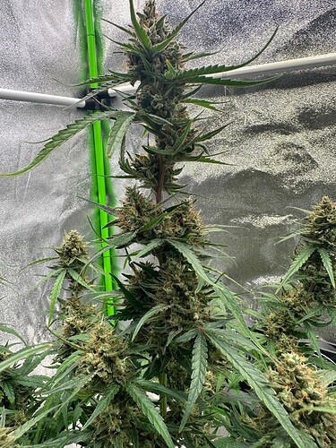 Growreport Bild 8