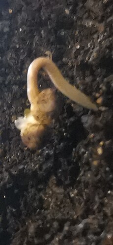 Growreport Bild 3