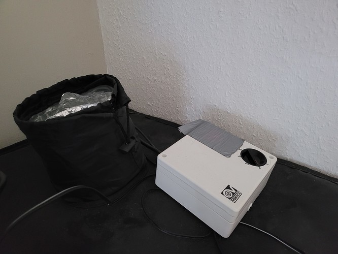 Growreport Bild 6