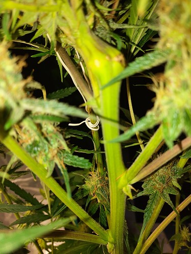 Growreport Bild 19