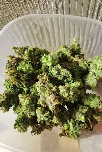 Growreport Bild 8