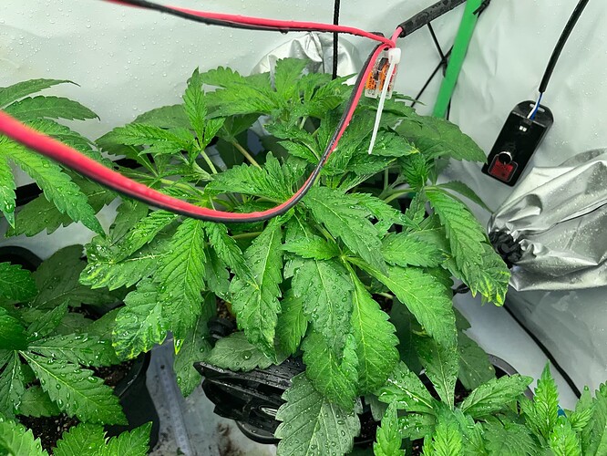 Growreport Bild 11