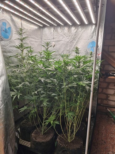 Growreport Bild 21