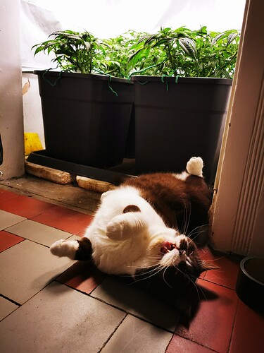 Growreport Bild 2