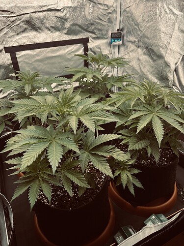 Growreport Bild 12