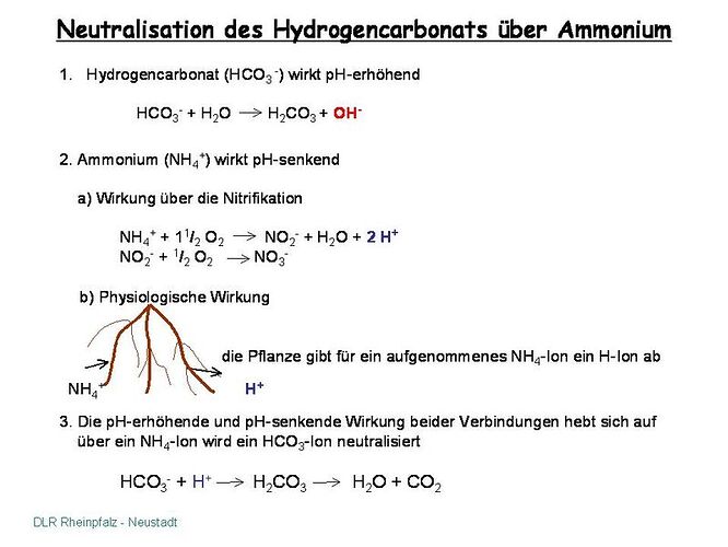 800px-Neutralisation_des_Hydrogencarbonats_über_Ammonium