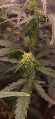Growreport Bild 88