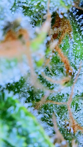 2023_01_13_11_58_35_122