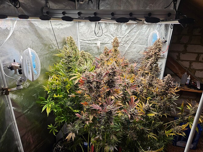 Growreport Bild 13