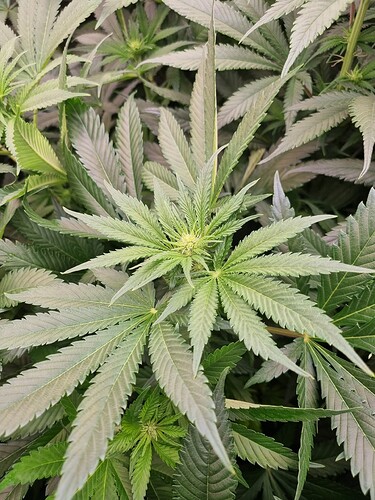 Growreport Bild 12