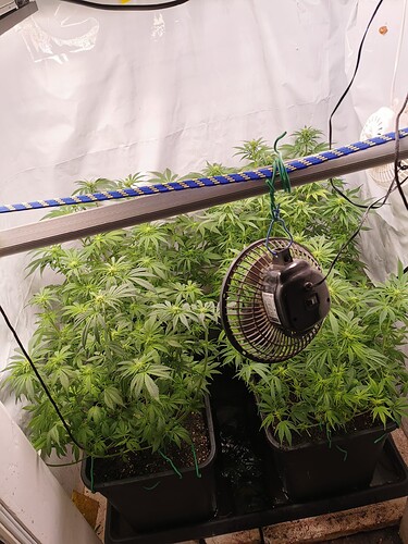 Growreport Bild 11