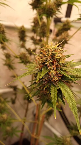 Growreport Bild 22
