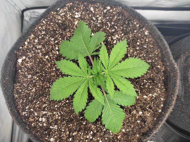 Growreport Bild 23
