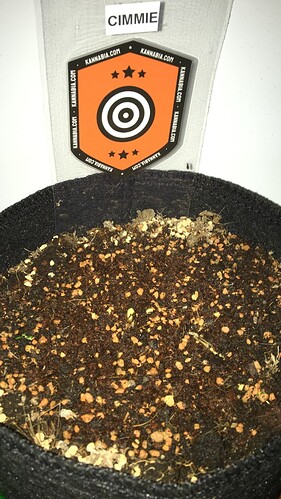 Growreport Bild 8