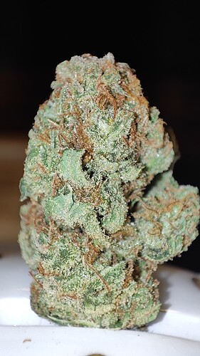 Growreport Bild 9
