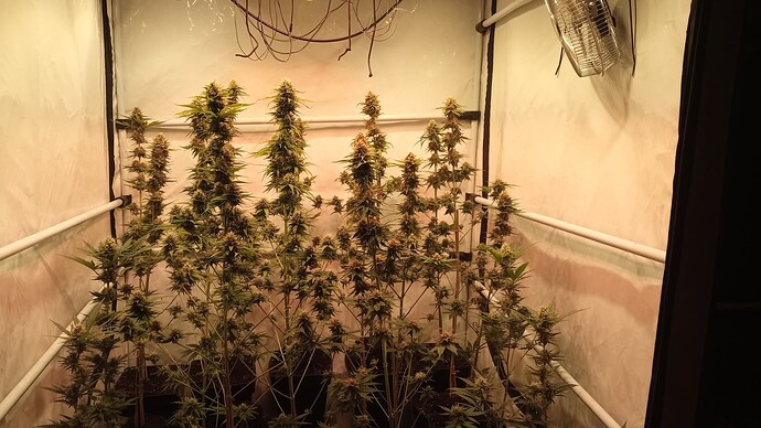 Growreport Bild 12