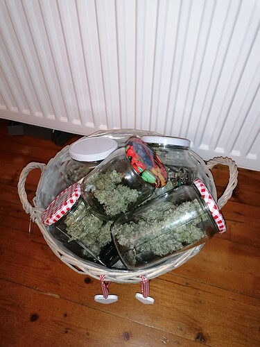 Growreport Bild 1
