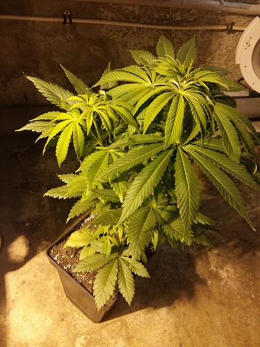 Growreport Bild 9