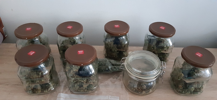 Growreport Bild 2
