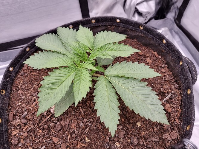 Growreport Bild 8