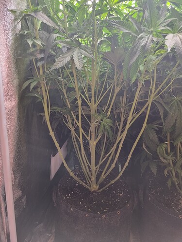 Growreport Bild 13