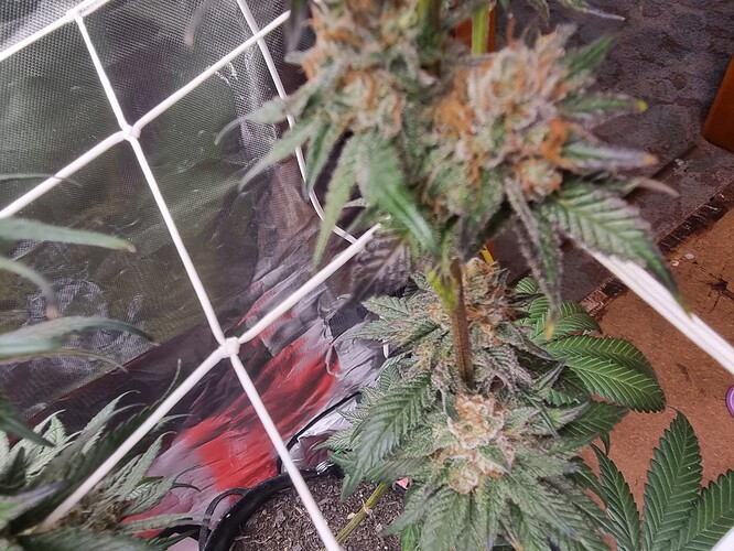 Growreport Bild 22