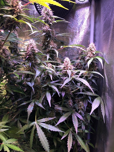 Growreport Bild 8