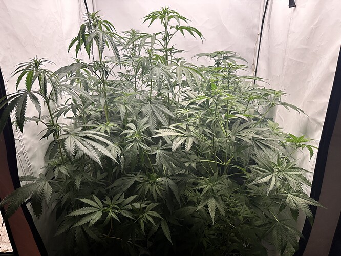 Growreport Bild 13