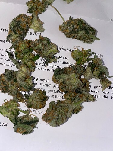 Growreport Bild 1