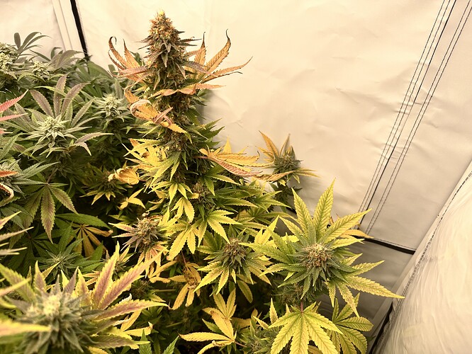 Growreport Bild 8