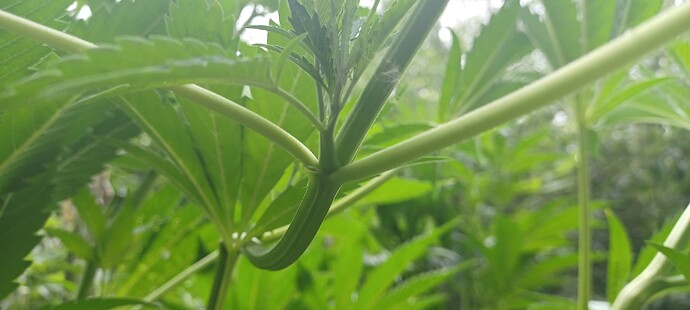 Growreport Bild 2