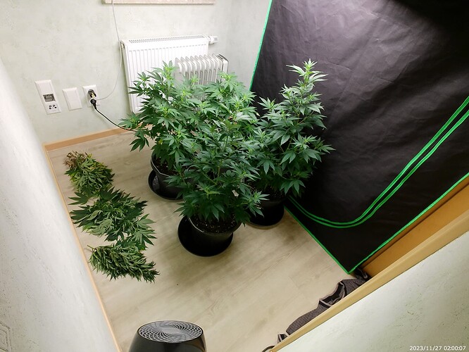 Growreport Bild 1