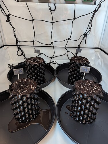 PXL_20231015_131007411