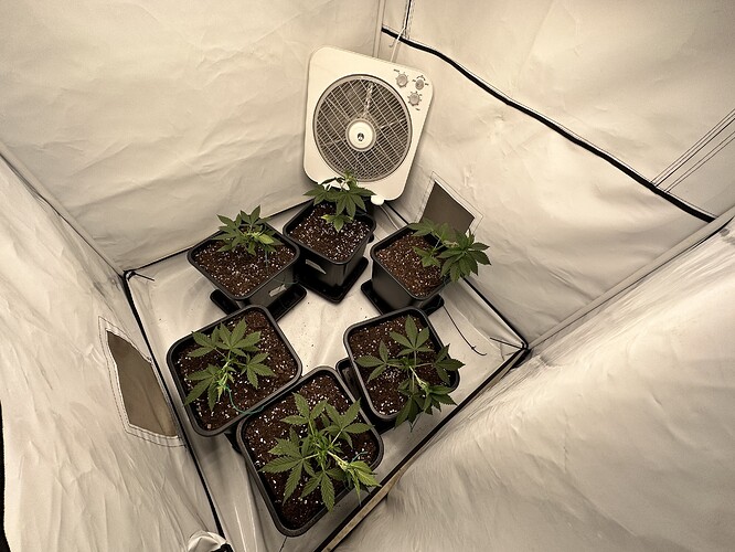 Growreport Bild 4
