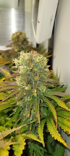 Growreport Bild 10
