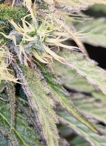 Growreport Bild 10