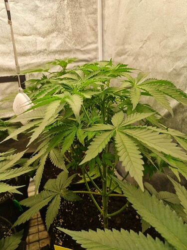 Growreport Bild 16