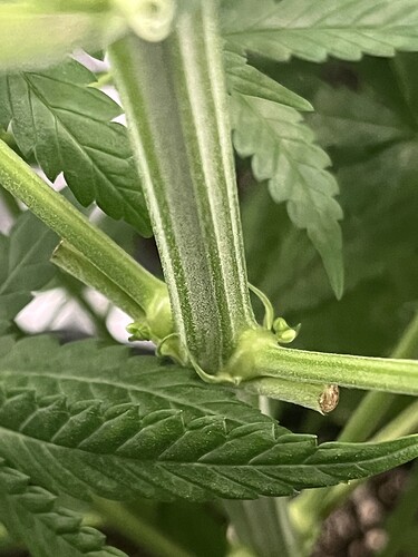 Growreport Bild 6