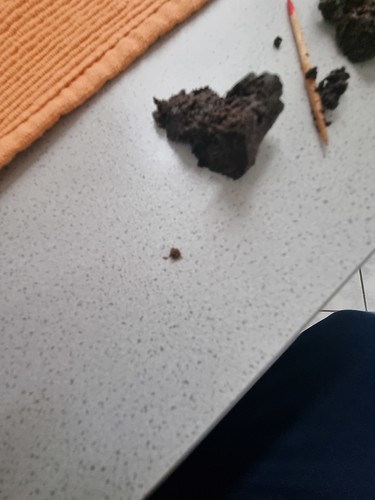 Growreport Bild 2