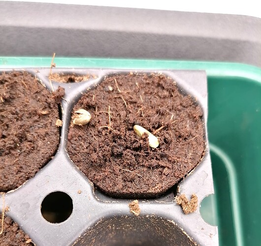 Growreport Bild 19