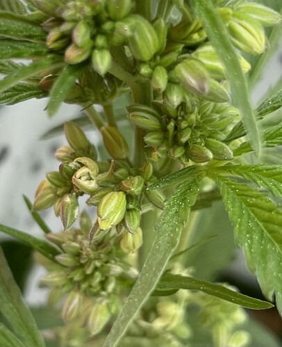 Growreport Bild 2