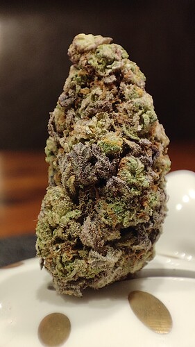 Growreport Bild 5