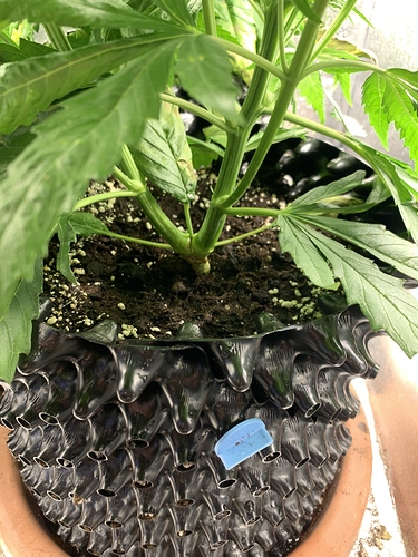 Growreport Bild 5